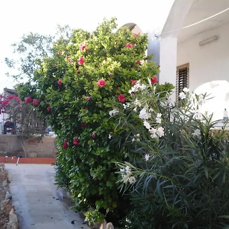 Con Giardino Apartment *